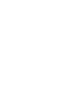 Solful Logo